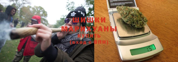 ГАЛЛЮЦИНОГЕННЫЕ ГРИБЫ Михайлов