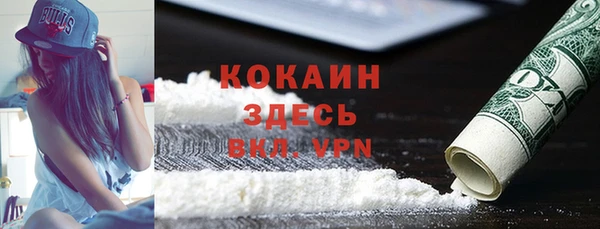ГАЛЛЮЦИНОГЕННЫЕ ГРИБЫ Михайлов