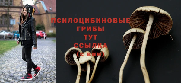 синтетический гашиш Михайловка