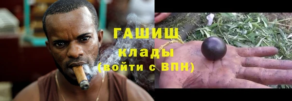 ГАЛЛЮЦИНОГЕННЫЕ ГРИБЫ Михайлов