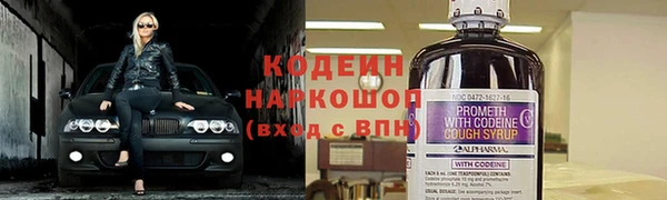 ГАЛЛЮЦИНОГЕННЫЕ ГРИБЫ Михайлов