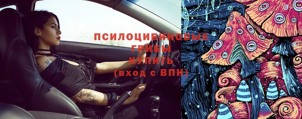 ГАЛЛЮЦИНОГЕННЫЕ ГРИБЫ Михайлов