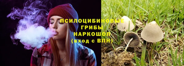 меф Михайловск