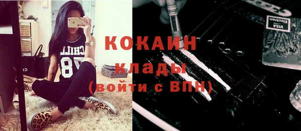 ГАЛЛЮЦИНОГЕННЫЕ ГРИБЫ Михайлов