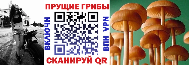 Галлюциногенные грибы Cubensis Альметьевск